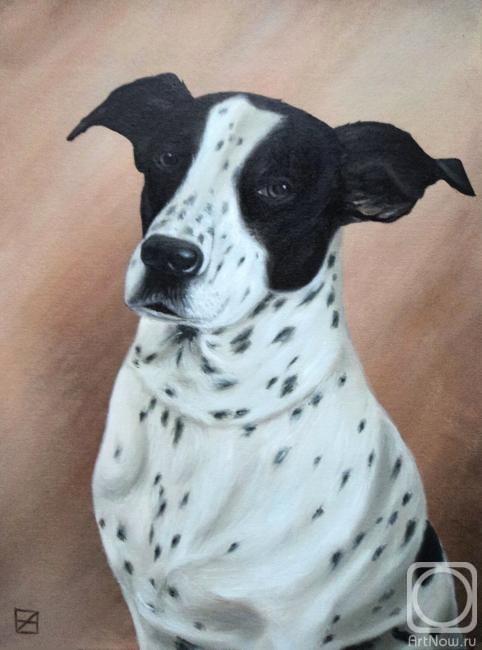 ������� ������ �� ������. ���������� ������. ����