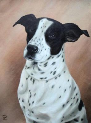 ������� �����