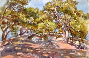 Crimea. Barsukov Alexey