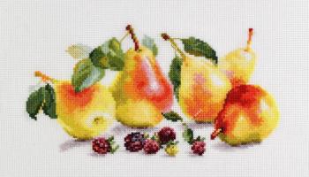 Pears. Khrapkova Svetlana