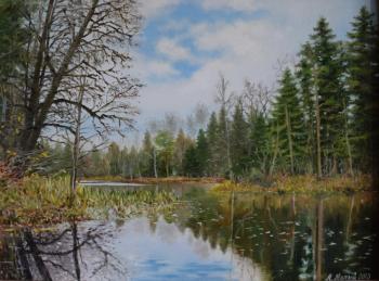 ������� �������� ����