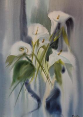 White Calla lilies