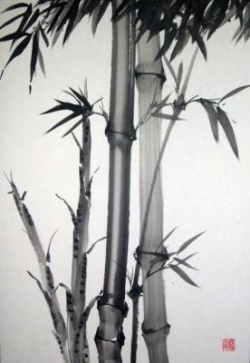 Bamboo No855. Mishukov Nikolay