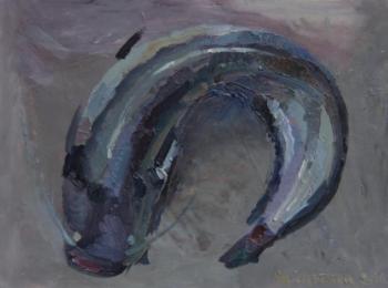 Catfish (Fish Series). Sirotina Marina