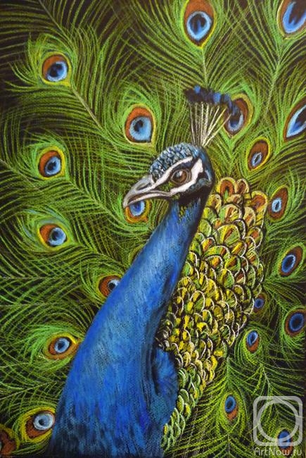 Zozoulia Maria. Peacock