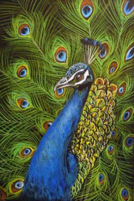 Peacock (Peacock Painting). Zozoulia Maria