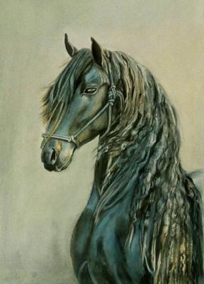 Friedrich (Horse In Watercolor). Zozoulia Maria