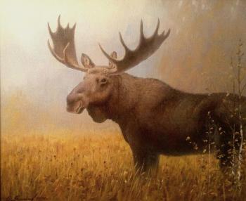 Elk. Yamanov Oleg