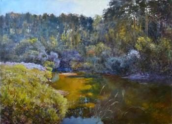 Miass River in late August. Barsukov Alexey