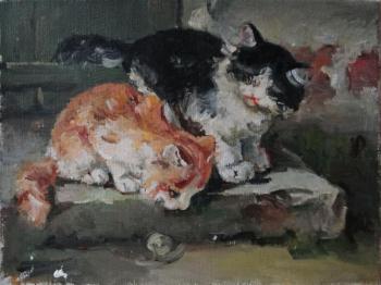 Cats. Zamaleev Talgat