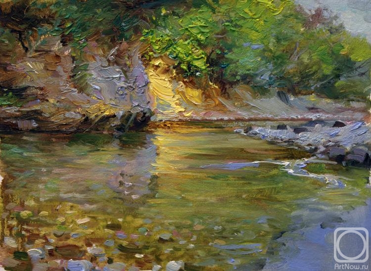 Nekrasov Evgeny. Trout Creek (study)