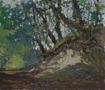 Mountain Trail. Lyubimov Sergei