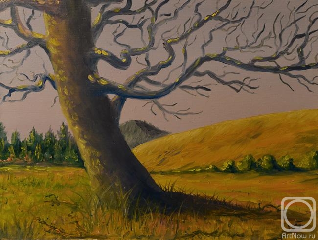 �������. ������� ������. ������� ��� ��������