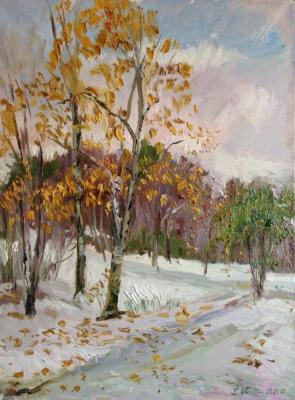 Early snow (  ). Solodilova Natalia
