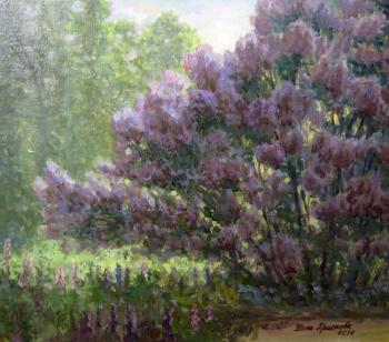 Florescence (Lilac Persian). Krasnova Nina