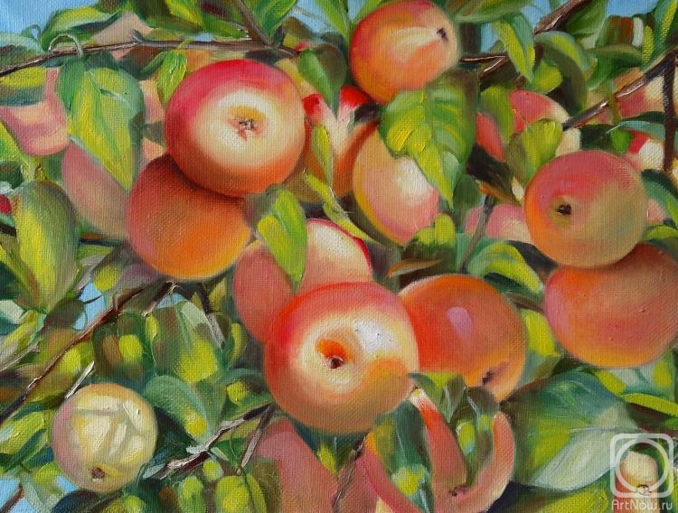 Razumova Svetlana. ripe apples