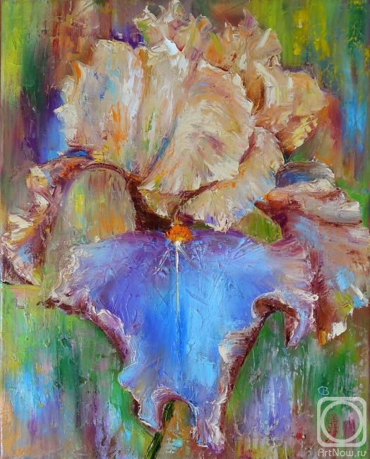 Razumova Svetlana.    blue iris