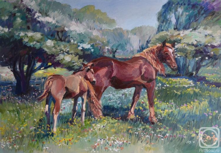 Efimova Ulya. Horses