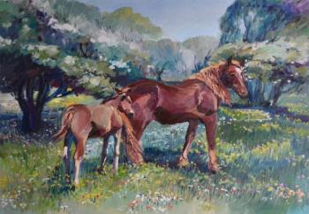 Horses. Efimova Ulya