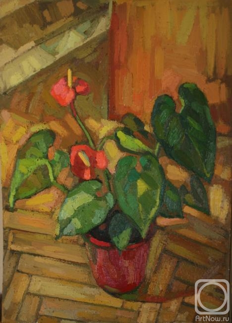 �������. �������� ������. ���, ����, ������