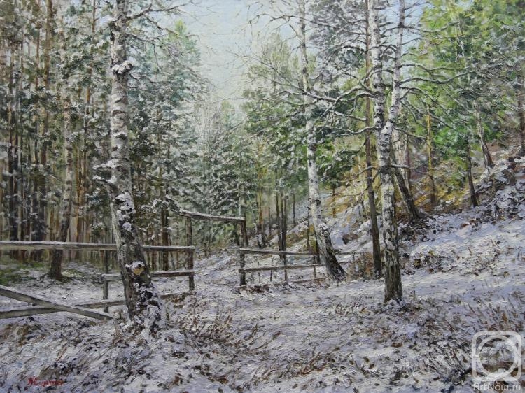 Soldatenko Andrey. The first snow in the forest