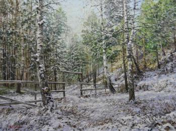 The first snow in the forest (Painting With Birch Trees). Soldatenko Andrey