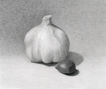 Garlic with chestnut. Rustamian Julia