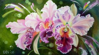 ������� ��������