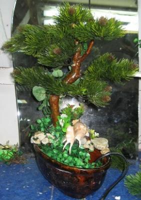 ��� ��������