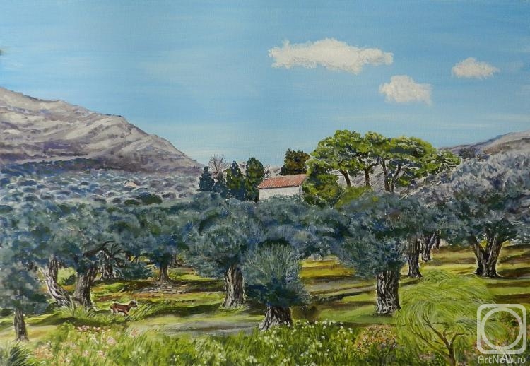 �������. ������ ������. ��������� ����