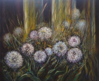 ������� ����������� ��� �����