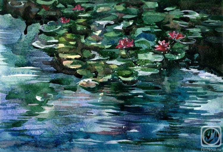 Parfenova Ekaterina. Water lilies