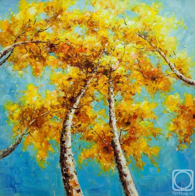 ������� ������ �� ������. ������ ��������. ������� ������ �� ���� ������ N3