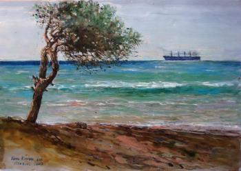 A pine tree on a seaside. Spain. Petrova Elena