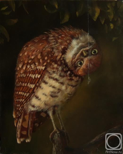 ������� ������ �� ������. ���������� �����. �� ���?