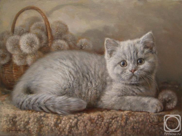 Kalinovskaya Ekaterina. Cat