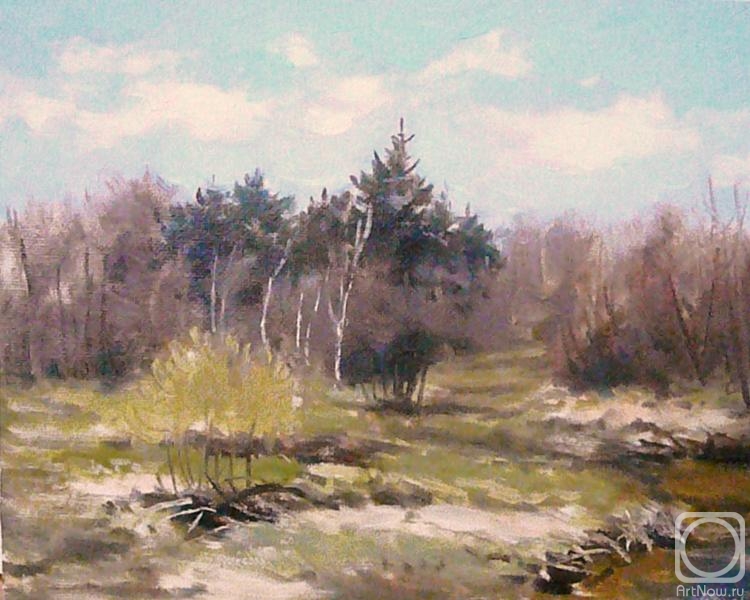 ������� ������ �� ������. �������� ��������. �����