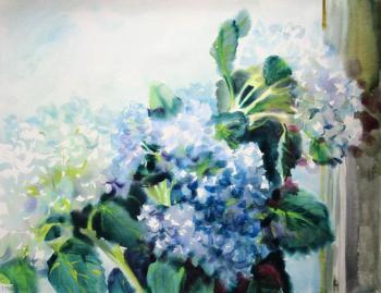 ��������� � ����. ���������� ���������