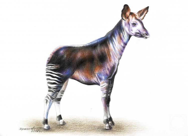 �������. �������� ��������. �����