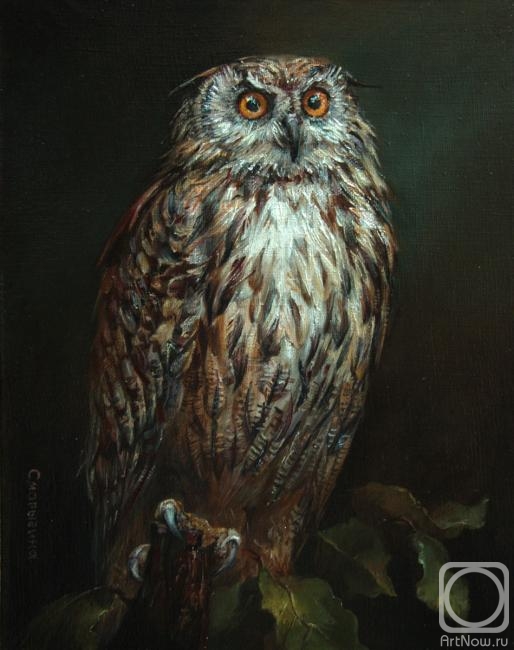 ������� ������ �� ������. ��������� ����. �����