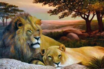 Lion and lioness. Melnikov Alexander
