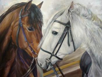 Two horses. Pariy Anna