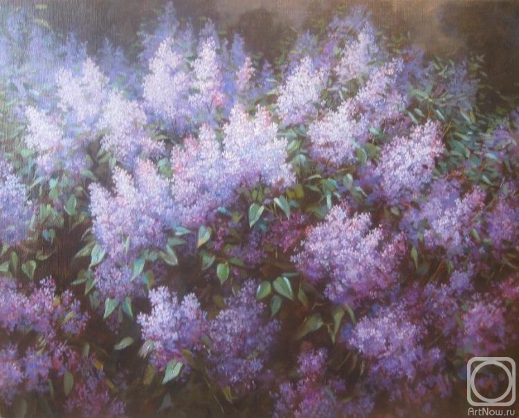 ������� ������ �� ������. ��������� ����. ������� (������)