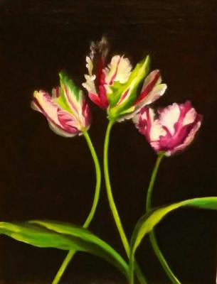 Tulips. Himich Alla
