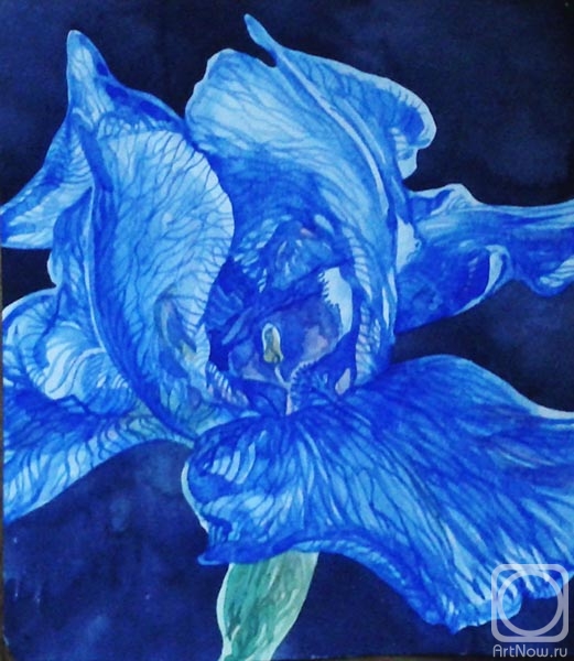 �������. ������� ������. ������