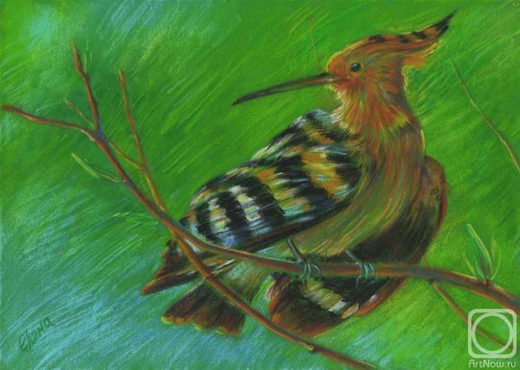 �������. �������� �����. � ��������