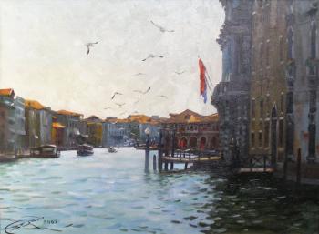 Er 1405 :: Seagulls over Grand Canal (Venice, Italy) (Venice Canal). Ershov Vladimir