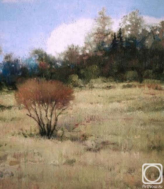 ������� ������ �� ������. ���������� ������. �����