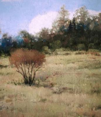 ������� �������