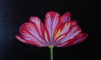 Big tulip (Big Artwork). Himich Alla